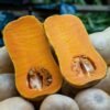 Courge Waltham Butternut – chair orange et graines