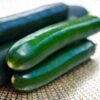 courgette-black-beauty-1-potager-darmor Graines de courgette Black Beauty – fruits vert foncé