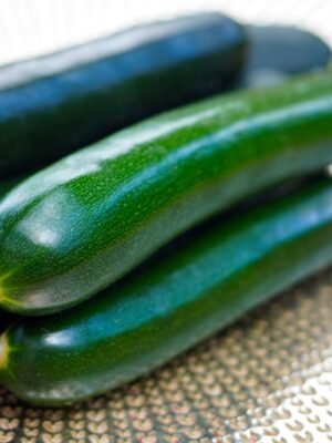 courgette-black-beauty-1-potager-darmor Graines de courgette Black Beauty – fruits vert foncé