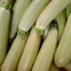 Graines de courgette Blanche de Sicile – fruits allongés très clairs