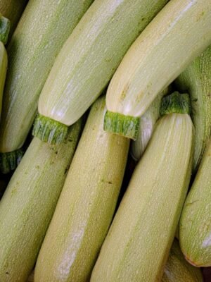 courgette-blanche-de-sicile-1-potager-darmor Graines de courgette Blanche de Sicile – fruits allongés très clairs