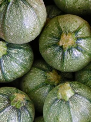 courgette-ronde-de-nice-1-potager-darmor Graines de courgette Ronde de Nice – fruits ronds vert clair