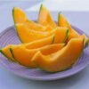 melon-charentais-1-potager-darmor Graines de melon Charentais – chair orange et juteuse