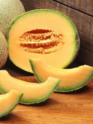 melon-hales-best-jumbo-1-potager-darmor Graines de melon Hale’s Best Jumbo – fruit à chair orange
