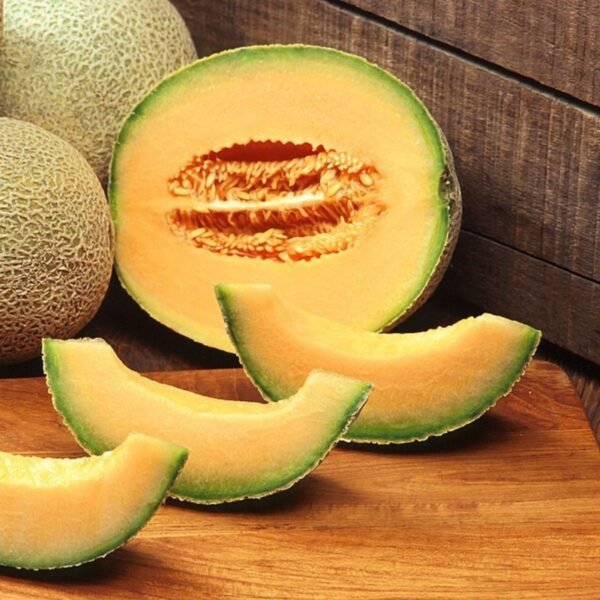 melon-hales-best-jumbo-1-potager-darmor Graines de melon Hale’s Best Jumbo – fruit à chair orange