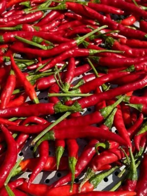 piment-de-cayenne-1-potager-darmor Graines de piment de Cayenne – fruits rouges longs et piquants