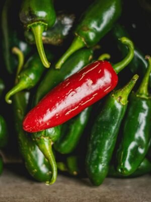 piment-jalapeno-m-1-potager-darmor Graines de piment Jalapeño M – fruits vert et rouge charnus