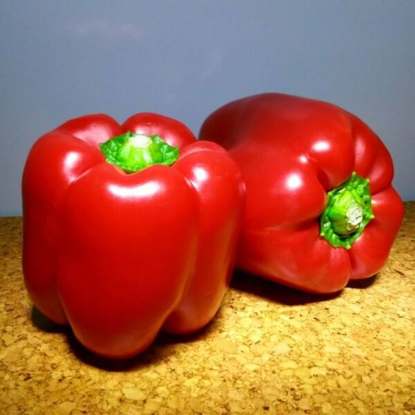 poivron-california-wonder-1-potager-darmor Graines de poivron California Wonder – gros fruits rouges et charnus