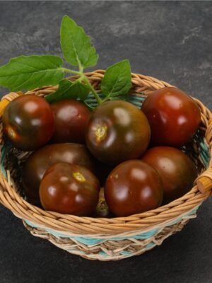 Graines de tomate Black Cherry – tomates cerises sombres brun-pourpre