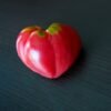 tomate-coeur-de-boeuf-rose-2-potager-darmor Tomate Cœur de Bœuf Rose – fruit charnu en forme de cœur