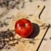 tomate-saint-pierre-3-potager-darmor Tomate Saint-Pierre – fruit rouge mûr