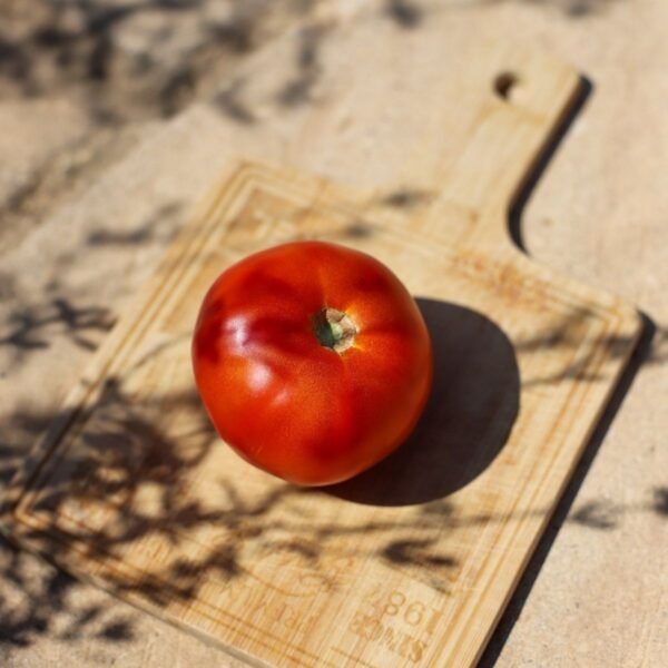 tomate-saint-pierre-3-potager-darmor Tomate Saint-Pierre – fruit rouge mûr