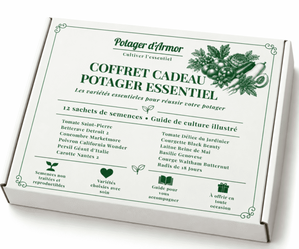 12 sachets essentiel Coffret cadeau Potager essentiel – 12 sachets de semences Potager d’Armor