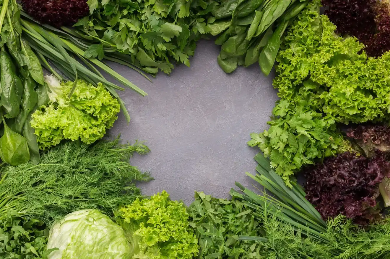 Assortiment de légumes-feuilles : salades, choux et blettes