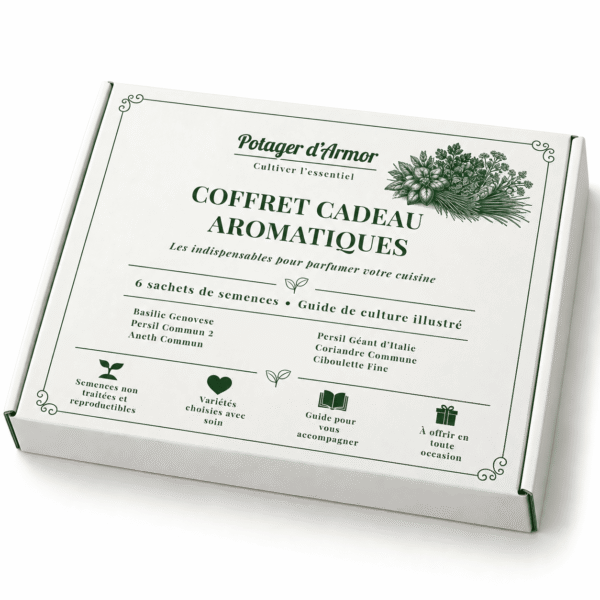 6 sachets aromatiques Coffret cadeau Aromatiques – 6 sachets de semences Potager d’Armor