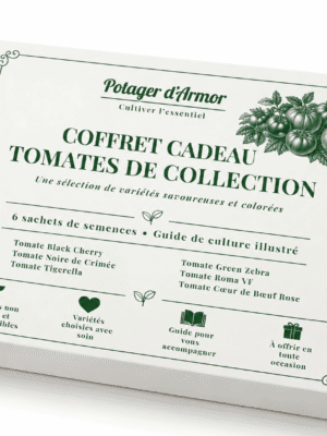 6 sachets tomate Coffret cadeau Tomates de collection – 6 sachets de semences Potager d’Armor