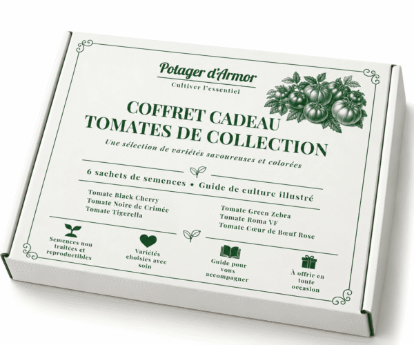 6 sachets tomate Coffret cadeau Tomates de collection – 6 sachets de semences Potager d’Armor
