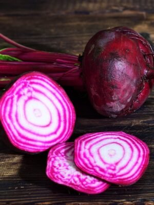 betterave-chioggia-1-potager-darmor Graines de betterave Chioggia – racine aux anneaux roses et blancs