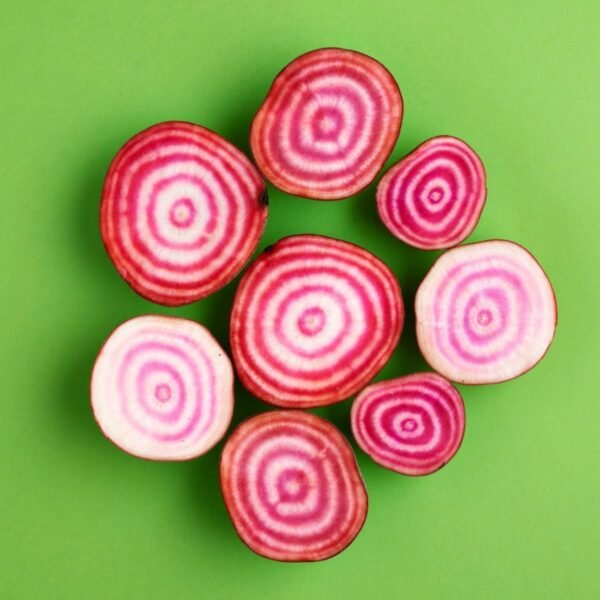 Betterave Chioggia – tranches aux anneaux concentriques roses et blancs
