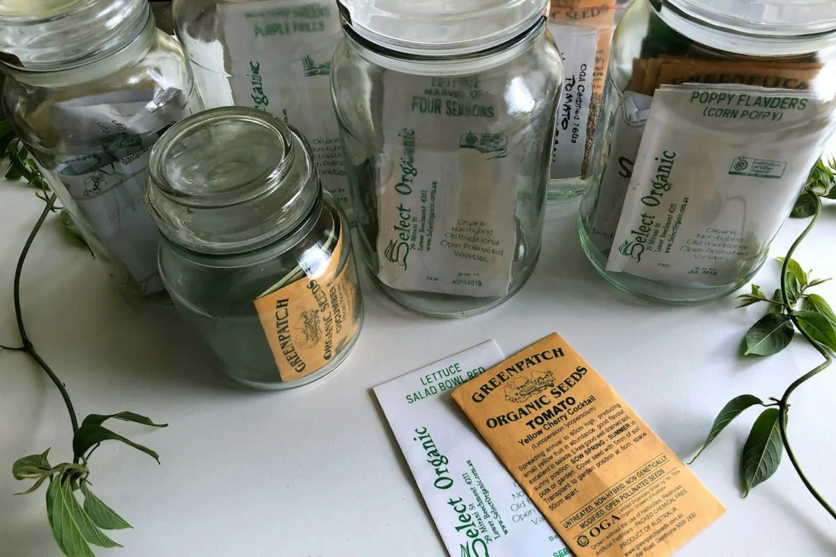 Graines potagères conservées dans des bocaux en verre