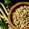 haricot-coco-nain-blanc-precoce-1-potager-darmor Graines de haricot Coco nain blanc précoce – grains blancs à écosser
