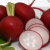 radis-cherry-belle-3-potager-darmor Radis Cherry Belle – chair blanche et peau rouge vif